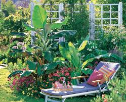 Es gibt zahlreiche arten exotischer pflanzen, die sich in deutschen gärten kultivieren lassen, sofern. Winterharte Exoten Fur Den Garten Bepflanzung Garten Winterhart