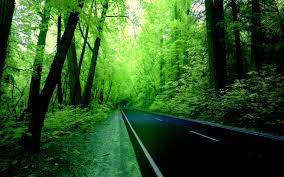 Once you are done, you can play around with an array of 3d, screen resolution, and tiling options available, and choose one that befits you. The Green Road Hd Wallpaper Desktop Background Nature Background Nature Nature Desktop