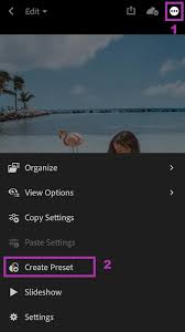 Our premium lightroom mobile presets for the free lightroom mobile app are designed to help you make superior quality mobile photo edits on the go with mobile presets you can trust for android or iphone. How To Install Lightroom Mobile Presets Without Desktop