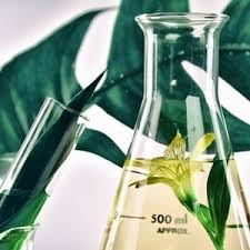 But wiping them off with a blanket or rag wouldn't do it. 5 Natural Ways To Treat Ringworm Health24