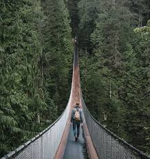 Capilano Suspension Bridge Park Capilano Suspension Bridge Suspension Bridge Vancouver Travel