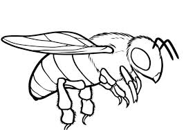Coloring pages >> animal >> bumblebee >> page 1. Bumble Bees Coloring Pages Realistic