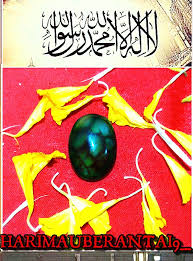 Maybe you would like to learn more about one of these? Batu Mustika Sisik Naga Berkhodam Bala Pasukan Naga Hijau Pantai Selatan Hobbies Toys Memorabilia Collectibles Religious Items On Carousell