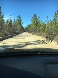 Tallahassee east campground is a few miles east of tallahassee. Apalachicola National Forest Tallahassee 2021 All You Need To Know Before You Go With Photos Tallahassee Fl Tripadvisor