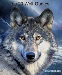 We did not find results for: Top 20 Best Ever Wolf Quotes Proverbs And Sayings On Strength Brilliantread Media