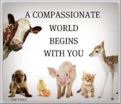 Inspiration Animal Quotes Animals Compassion