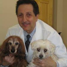Comprehensive list of elmira, new york based veterinary clinics and animal hospitals offering advanced medical diagnostics or pet treatment. Home Vet Care Mobile Veterinary Service Home Facebook