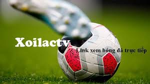 Link xem trực tiếp bóng đá quốc tế đêm nay có tiếng việt, cập nhật ketquabongda. Xoilac Xoilac Tv Kenh Phat Song Bong Ä'a K Bong Ä'a Thá»ƒ Thao