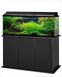 A 60 gallon tank that's 3 feet long may not be suitable for some fish that would thrive in a 4 foot 60 gallon. 50 Gallon Freshwater Aquarium Online Discount