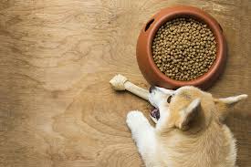 This business listing is provided by The 10 Best Pet Stores In Iowa