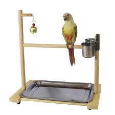 Bird perch, low prices, fast, free shipping & 24/7 help, shop now! Bird Playground Birdcage Parrot Perch Playstand Tabletop Feeder Cup Bowl Tray For Small Medium Conure Cockatiel Parakeet Finch Bird Perches Aliexpress