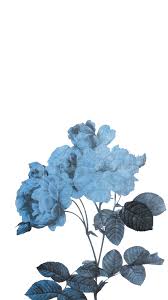 Transparent Blue Flowers Blue Wallpaper Iphone Light Blue Aesthetic Blue Wallpapers