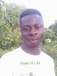 Modo Bestia al estilo @dogstrong2022