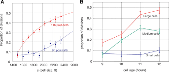 We did not find results for: Fig 4 Cell Growth And Size Homeostasis In Proliferating Animal Cells Science