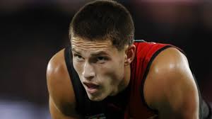 Brown can be a force, says Priddis