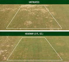 Check spelling or type a new query. Headway Fungicide Greencast Syngenta
