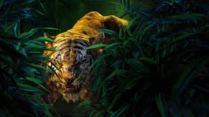 Looking for the best movie backgrounds? Wallpaper The Jungle Book Shere Khan Best Movies Of 2016 Movies 10221 Page 3