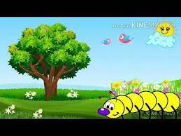 background doroteia centopeia youtube background youtube