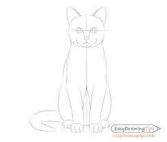 Your cat is ready to rule the world. How To Draw A Cat Step By Step From Front View Easydrawingtips