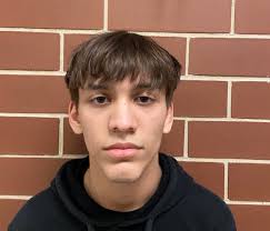 12 things to know about Pantagraph area high school sports