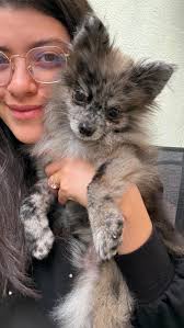 Happy birthday to me! 🎶 my husband wanted to take me to nashville for my  30th birthday cause it is one of his favorite cities 🌃 and if you know  david and