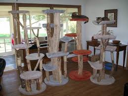 Cat Tree Kingdom Product Pricing Cat Trees Homemade Cat Tree Cat Towers