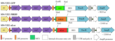 Image result for Yellow 1990 Thiele Inc