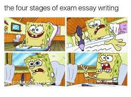 Ingredients Of The Ideal Body Paragraph Of A History Essay The Edge