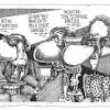 Story image for american socialism from The Tand D.com