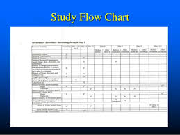 clinical trial process overview