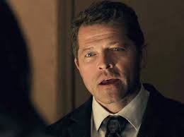 @magnificentbees's video Tweet