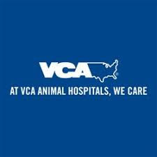 Anyone with pets knows how important they are to their owners. Best Animal Hospitals Near Me June 2021 Find Nearby Animal Hospitals Reviews Yelp