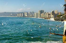 Viña del mar is a city and commune on central chile's pacific coast. Vogel Geniessen Die Sonne Und Surfen In Vina Del Mar Chile Lizenzfreie Fotos Bilder Und Stock Fotografie Image 70000878