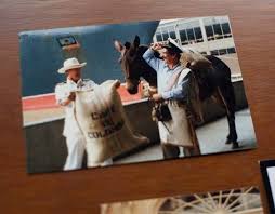 $770th.* feb 6, 1986 in.carlos sánchez. Murio Carlos Sanchez El Segundo Actor Que Represento A Juan Valdez