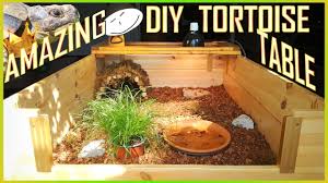 In this presentation i provide the materials needed to build and step by step instructions on how to build your tortoise a tortoise table. How To Make An Amazing Tortoise Table Ultimate Diy Reptile Enclosure Youtube