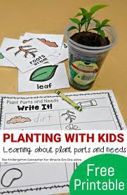 Planting With Kids Plant Parts And Needs Parts Of A Plant Plants Kindergarten Kindergarten Science