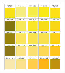 free 8 sample ral color chart templates in pdf