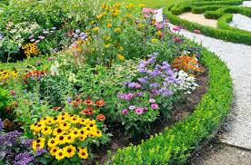 Soldatul philipide al lumii denumiri populare mai cunoscute: Plantele De Flori De PrimÄƒvarÄƒ È™i Numele Lor 63 Fotografii Care Flori Sunt Adesea GÄƒsite È™i Cum SÄƒ Aranjeze Un Pat De Flori Cu Ei