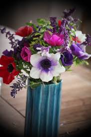 Bouquet D Hiver 2013 Anemones Et Sauges Bouquet D Hiver Bouquet Fleuriste