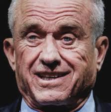 Alternative to branch basics? : r/moderatelygranolamoms