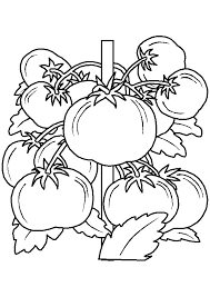 Page 42 Sur 44 Sur Hugolescargot Com Vegetable Coloring Pages Fruit Coloring Pages Frozen Coloring Pages