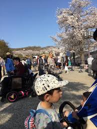 One of the most popular varieties is kwanzan. What Is The Fruit Of Sakura Tree In Japan Quora