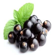 Get meaning and translation of blackberry in hindi language with grammar,antonyms,synonyms and sentence usages. Blackcurrant Vs Blackberry