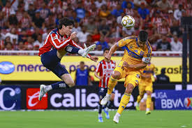 Diego Campillo