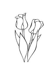 Ausmalbild Tulpen Zum Ausdrucken Und Ausmalen Ausmalbilder Malvorlagen Kindergarten Blumen Tulpen In 2020 Ausmalen Ausmalbilder Ausdrucken