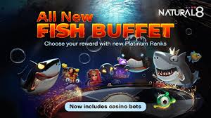How to win money at fish tables — fish game strategy by ? Fish Buffet Cashback Rewards For Online Poker Natural8