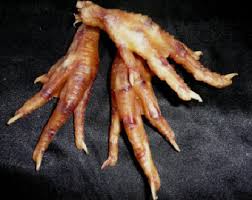 This unbelievably gorgeous and futuristic purse will instantly set the owner apart from the crowd, for better or for worse. Bones Teeth Chicken Feet More Voodoo Rite World Of Magic