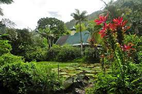 Waimea Arboretum And Botanical Garden Oahu Pond In Waimea Arboretum And Botani Sponsored Sponsored Sponsored Arbor Waimea Arboretum Botanical Gardens