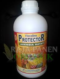Anisopliae adalah salah satu cendawan entomopatogen yang termasuk dalam divisi demikian beberapa agen si hayati dan manfaatnya. Floraone Protector Agensia Hayati Pupuk Organik Cair 081 355 555 216 Pt Centra Biotech Indonesia Jual Pupuk Hayati Cair Agen Pupuk Hayati Cair