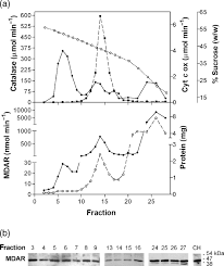 For uncured adhesive sealant, use 3m™ general purpose adhesive cleaner. Arabidopsis Peroxisomes Possess Functionally Redundant Membrane And Matrix Isoforms Of Monodehydroascorbate Reductase Lisenbee 2005 The Plant Journal Wiley Online Library